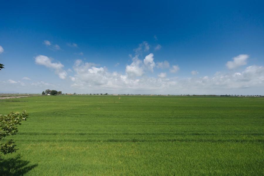 Salicornia Apartament L'Eucaliptus Bagian luar foto